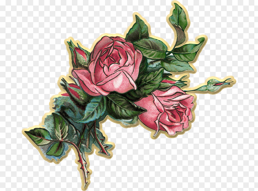 Rose Rose: Poems Poetry Clip Art PNG