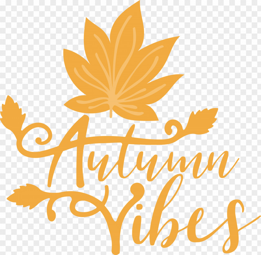Autumn Vibes Autumn Fall PNG