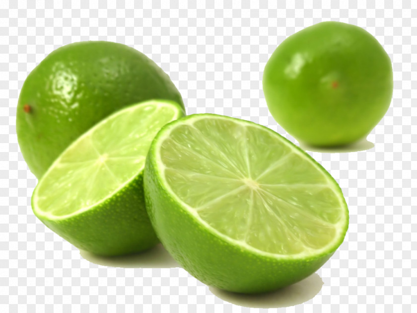 Fresh Lemon Gin And Tonic Sour Key Lime Oil PNG