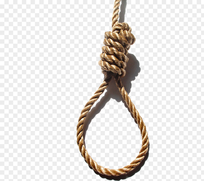 Horse Grass Rope Suicide By Hanging Knot Noose PNG