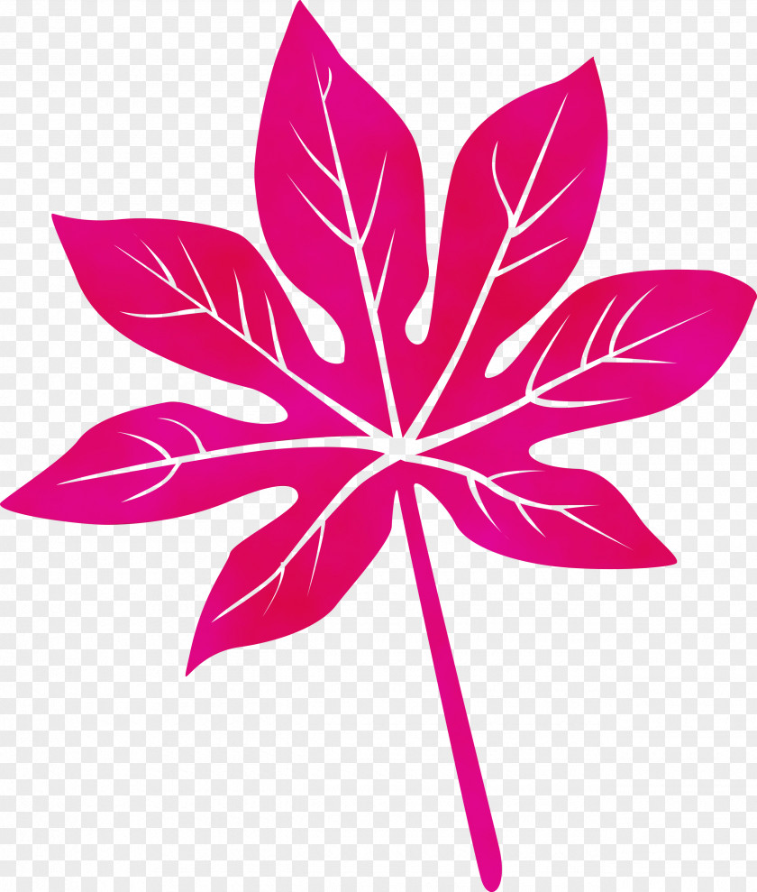 Leaf Flower Symmetry Petal Line PNG