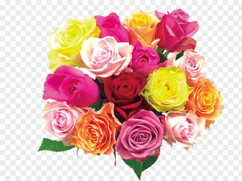 Mother's Day Specials Garden Roses Cabbage Rose Floral Design Cut Flowers PNG
