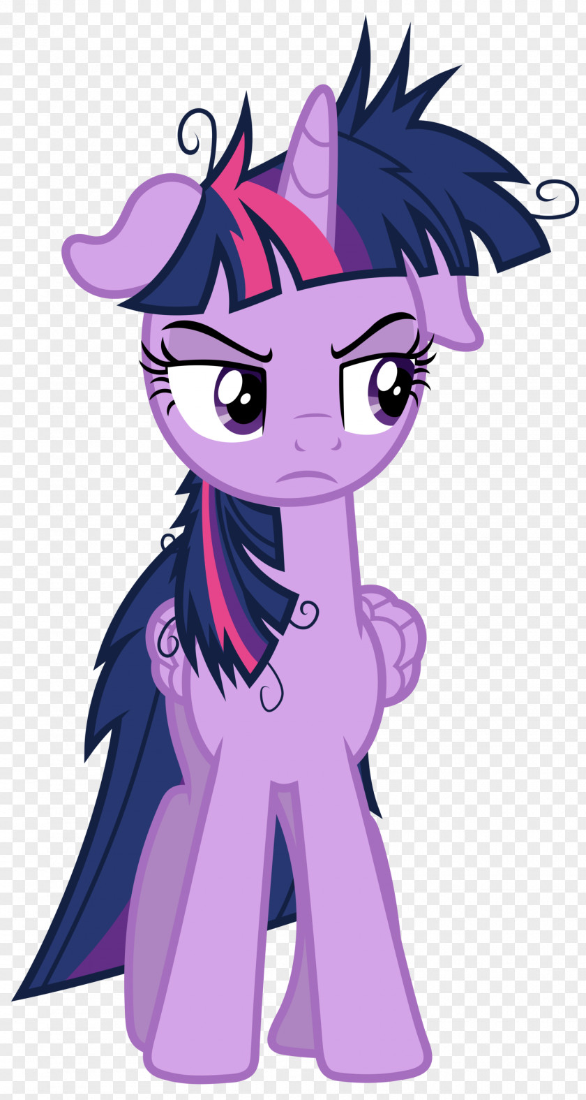 Twilight Sparkle Pony Princess Luna Rainbow Dash Cadance PNG