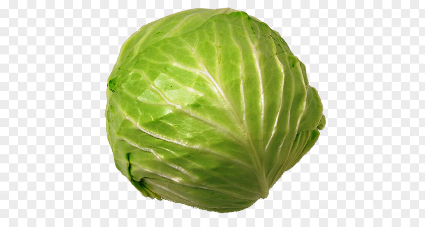 Vegetable Cauliflower Cabbage Food Juice PNG
