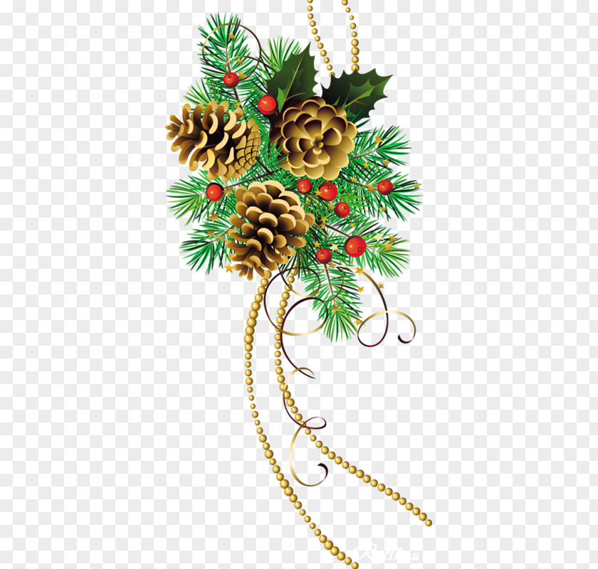 Christmas Eve Holiday Ornament Tree Branch PNG