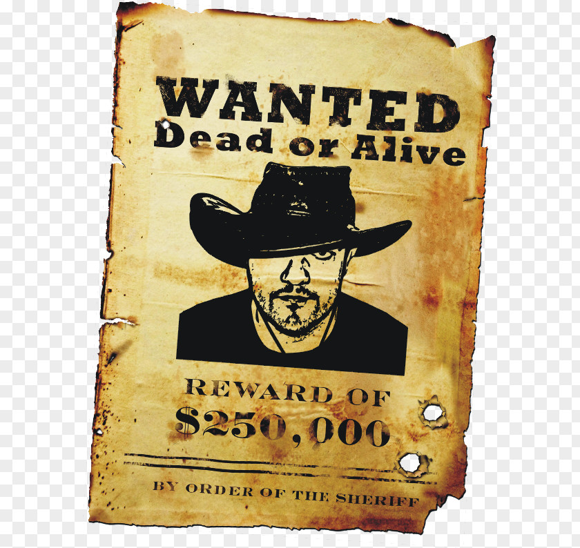 Cowgirl Wanted American Frontier Western Graphics Poster Symbol PNG