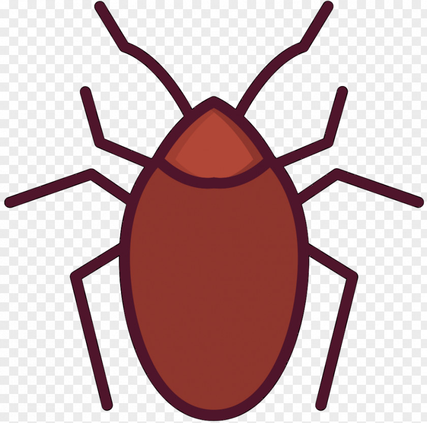 Cockroach Insect Vector Graphics Illustration Mosquito PNG