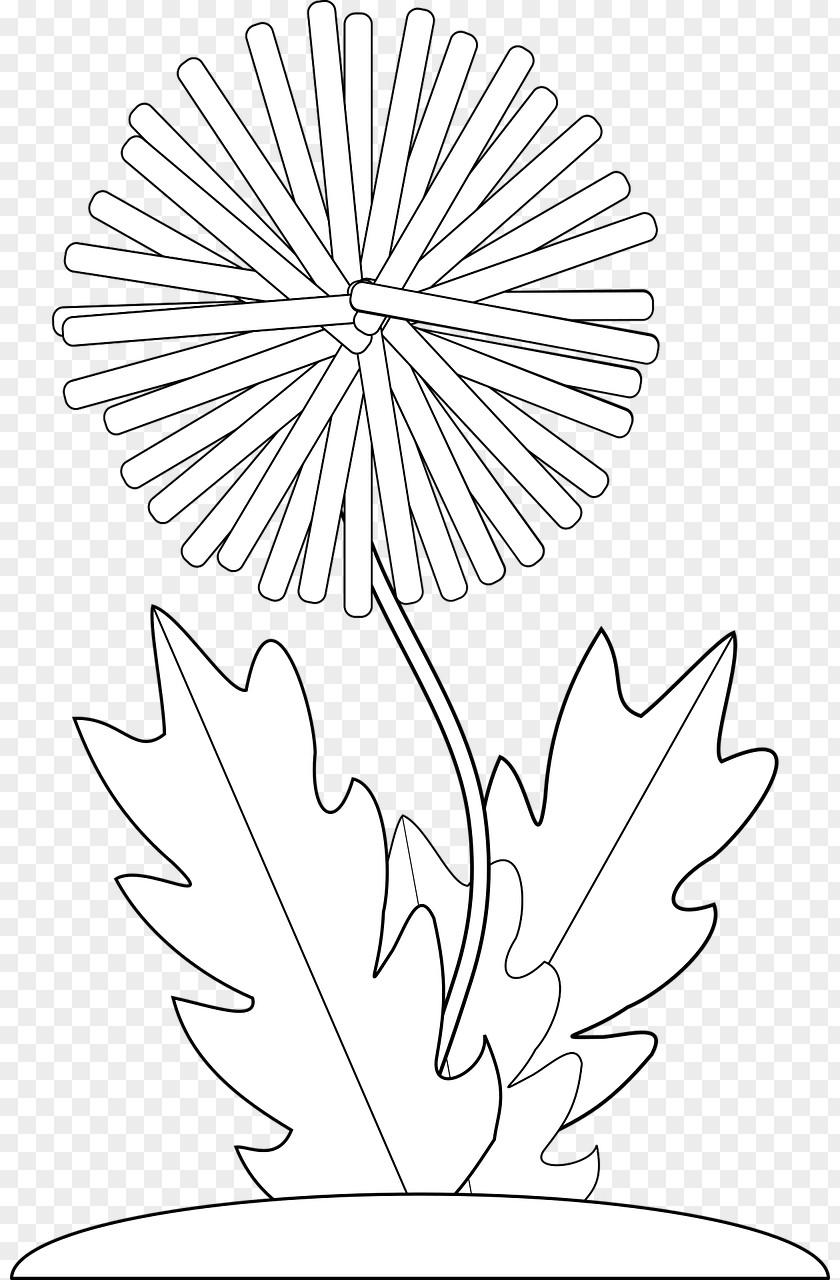 Dandelion In The Wind Common Drawing PNG