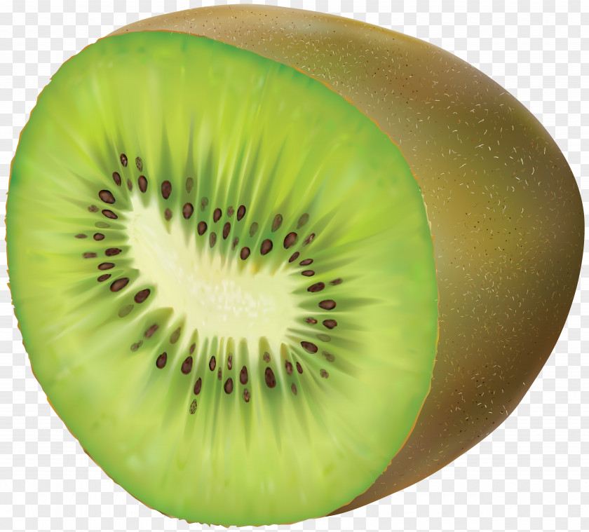 Kiwi Transparent Clip Art Kiwifruit PNG