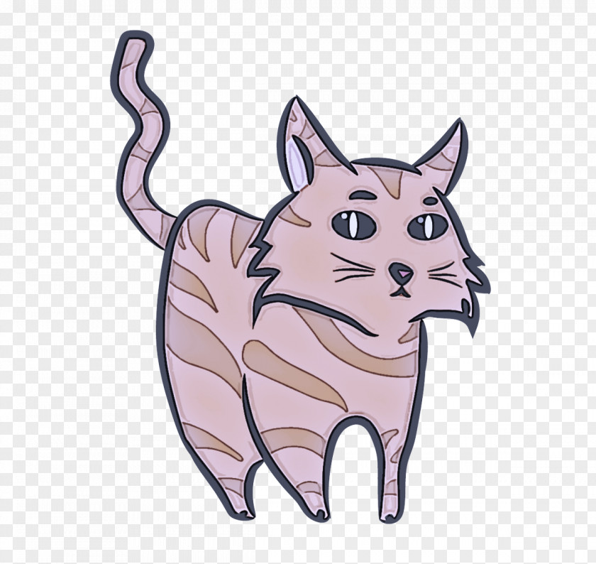 Cat Cartoon Small To Medium-sized Cats Whiskers Kitten PNG