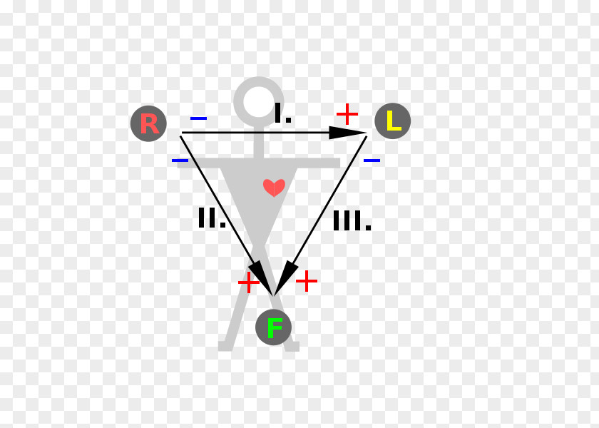 Double Heart Einthoven's Triangle Electrocardiography Triangolo Di Einthoven Electrode PNG