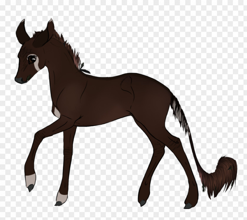 Mustang Foal Colt Stallion Mare PNG