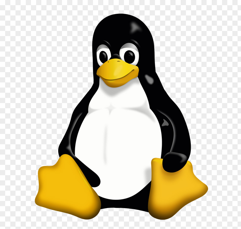 Penguin Tux Racer Linux Unix PNG