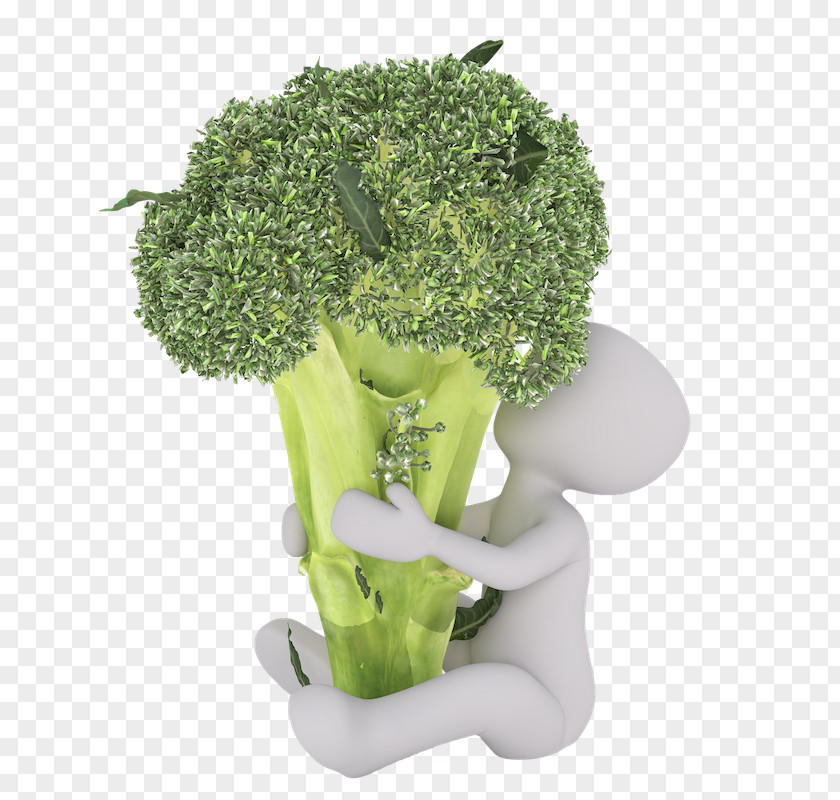 Broccoli Food Dietary Fiber Vegetable Vitamin PNG