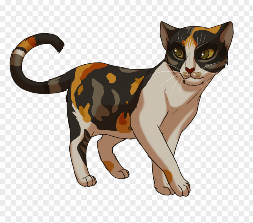 Cat Why Do Cats Meow? Warriors Spottedleaf Robinwing PNG