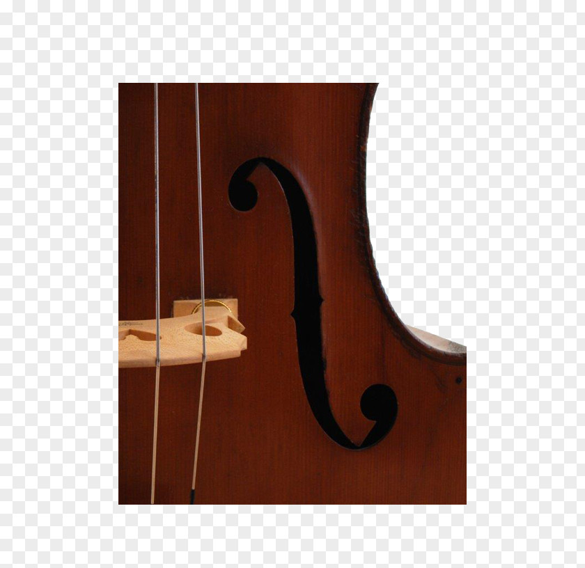 Bass Guitar Violin Double Violone Viola Octobass PNG