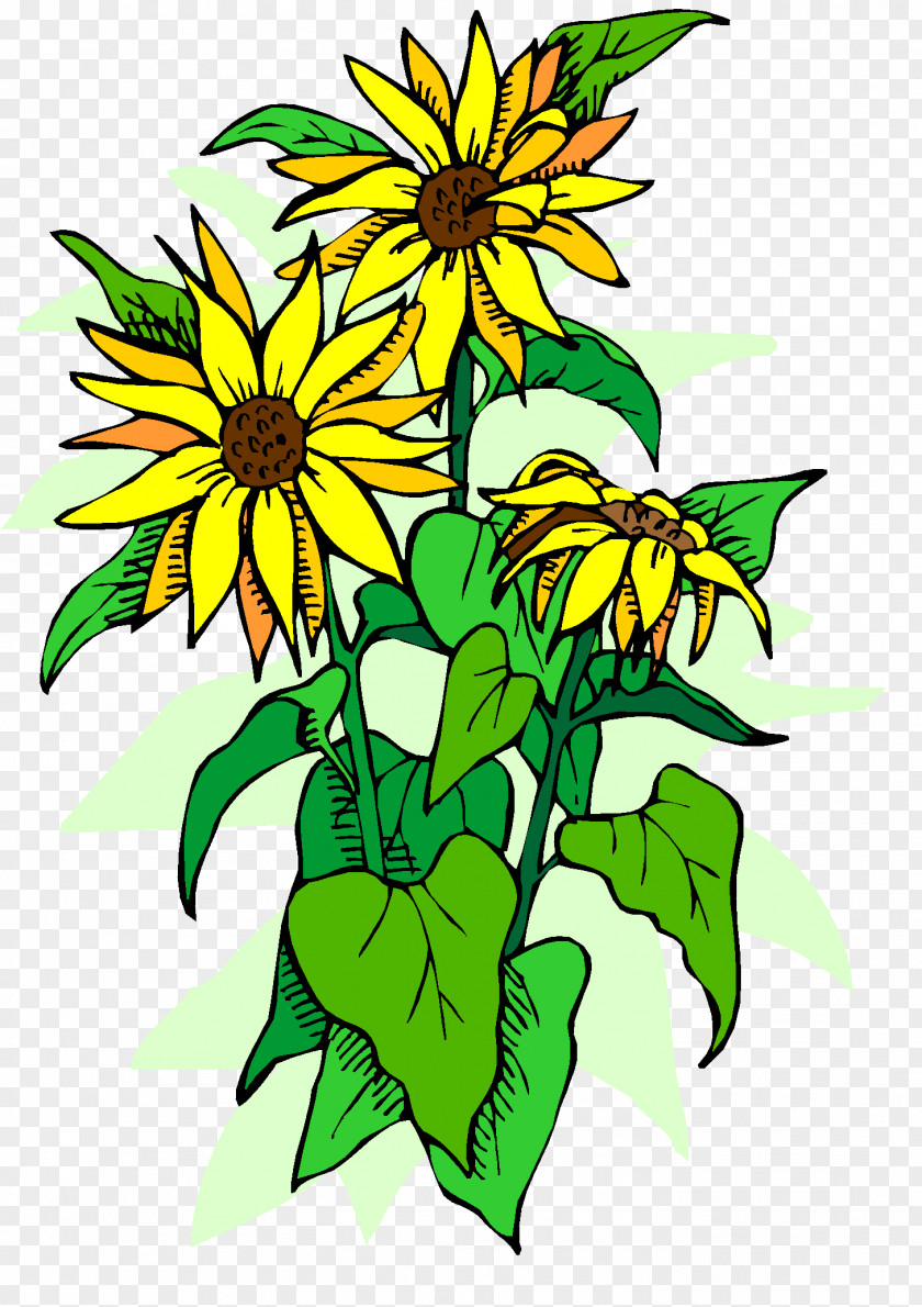 Clip Art Floral Design YouTube Cut Flowers Plant Stem PNG