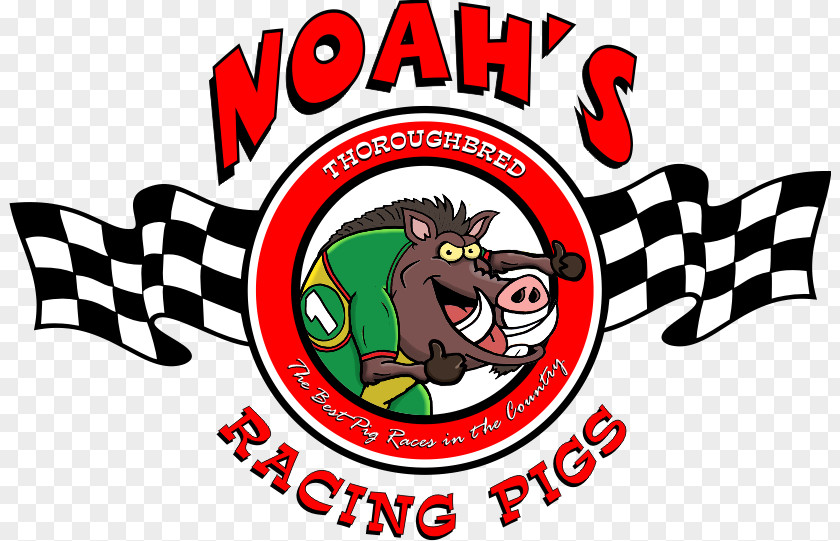 Race Horse Pig Racing Thoroughbred Entertainment PNG