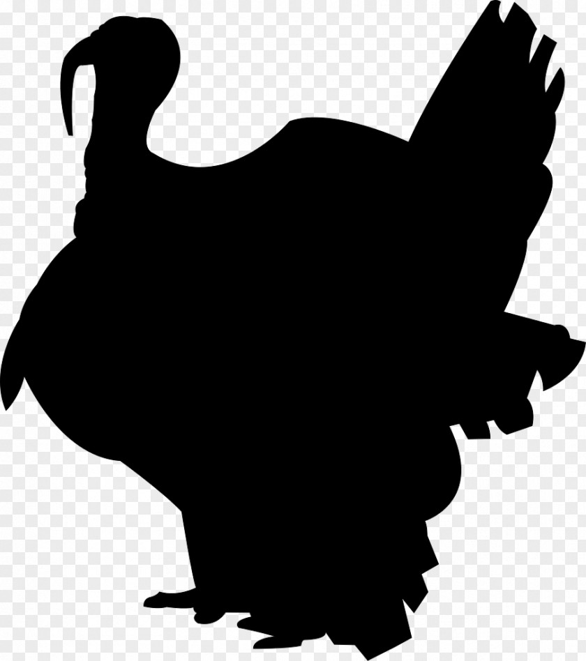 Silhouette Broad Breasted White Turkey Black Meat PNG