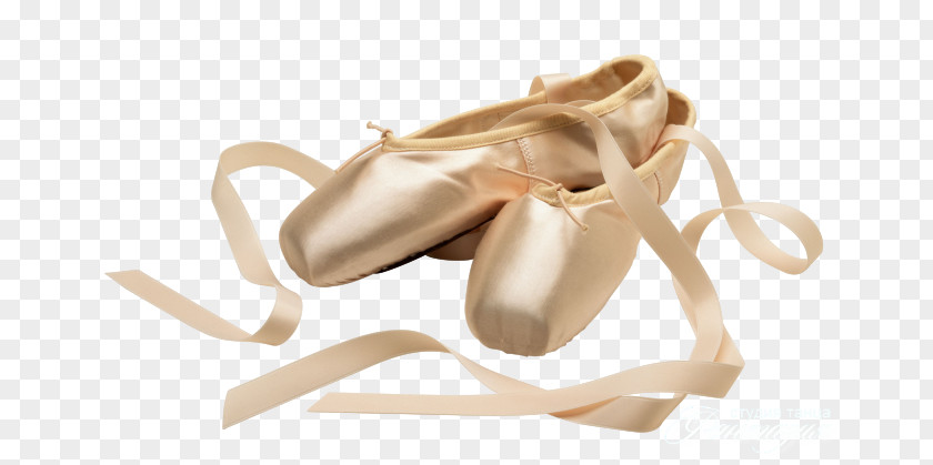 Ballet Shoe Dancer Pointe Technique PNG