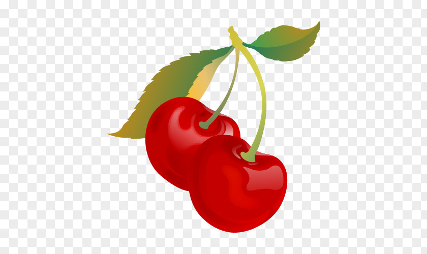 Cherry Vector Material Sweet Fruit Food PNG