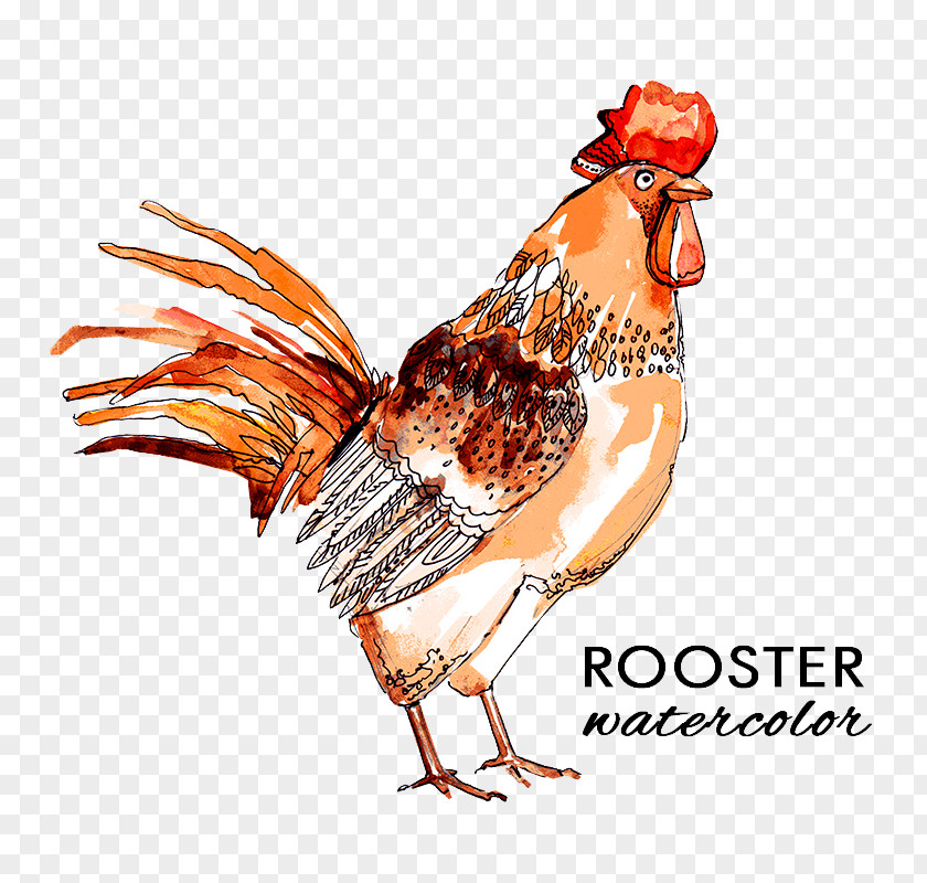 Cock Rooster Chicken Flower Icon PNG