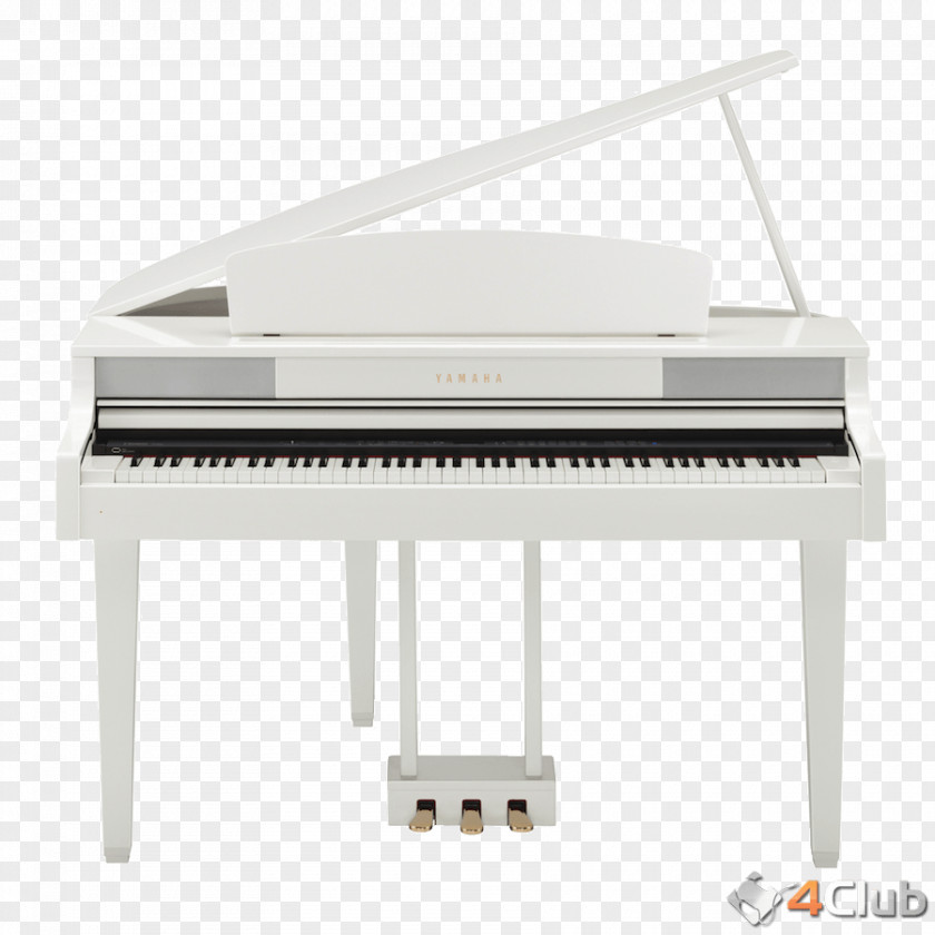 Musical Instruments Digital Piano Electronic Keyboard Player Clavinova PNG