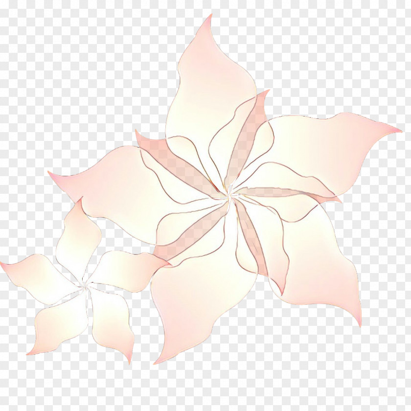 Plant Flower Leaf Pink Petal PNG