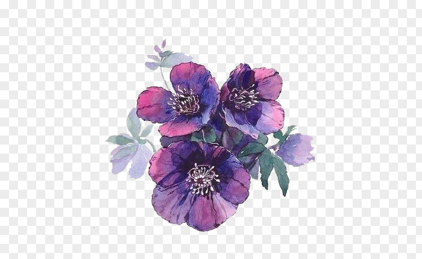 Purple Flowers PNG flowers clipart PNG