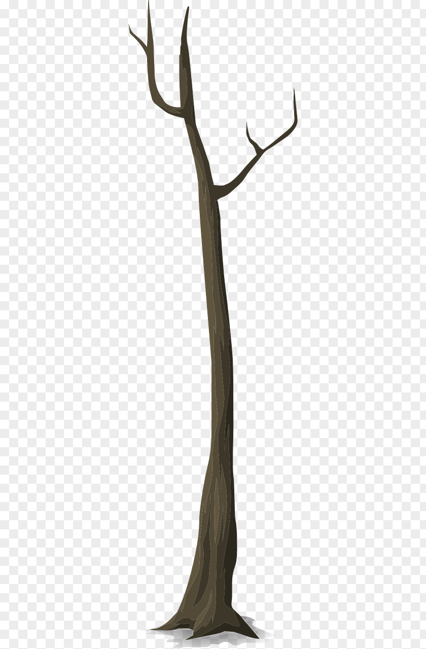 Tree Twig Trunk Branch Snag PNG