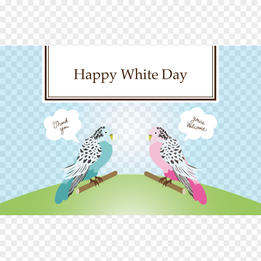 White Day Bird Beak Feather Animal PNG