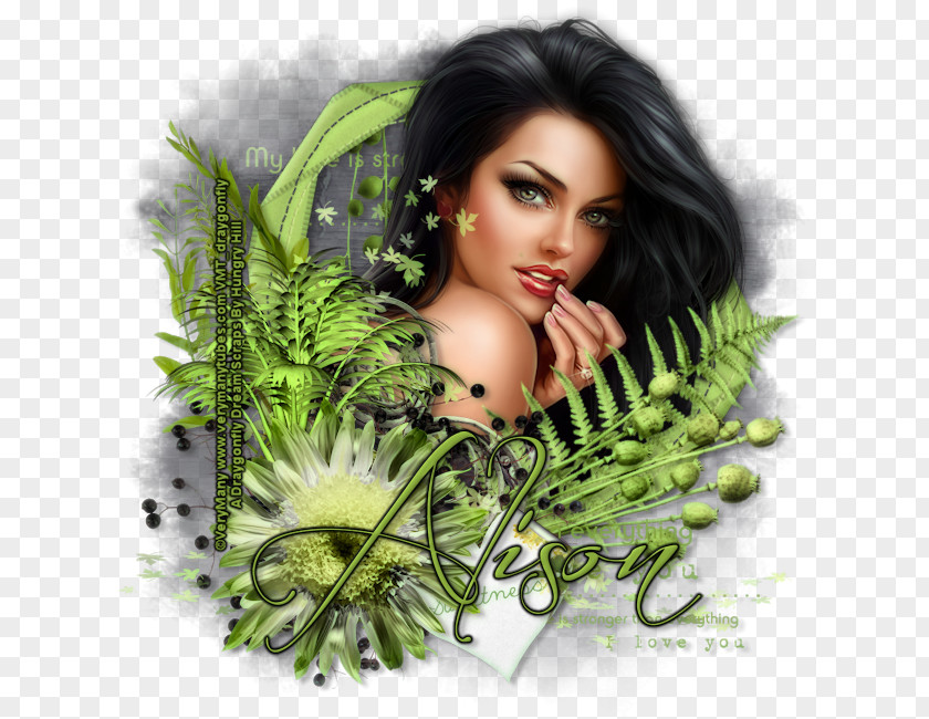 Alison Black Hair PNG