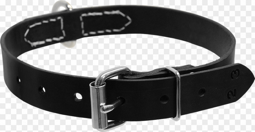 Dog Leash Collar D-ring PNG