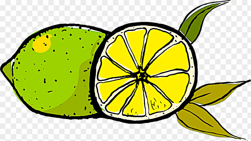 Grapefruit Lime Citrus Yellow Lemon Leaf Clip Art PNG