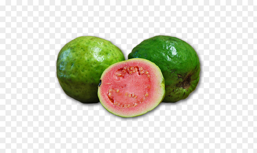 Guava Food Watermelon Fruit PNG