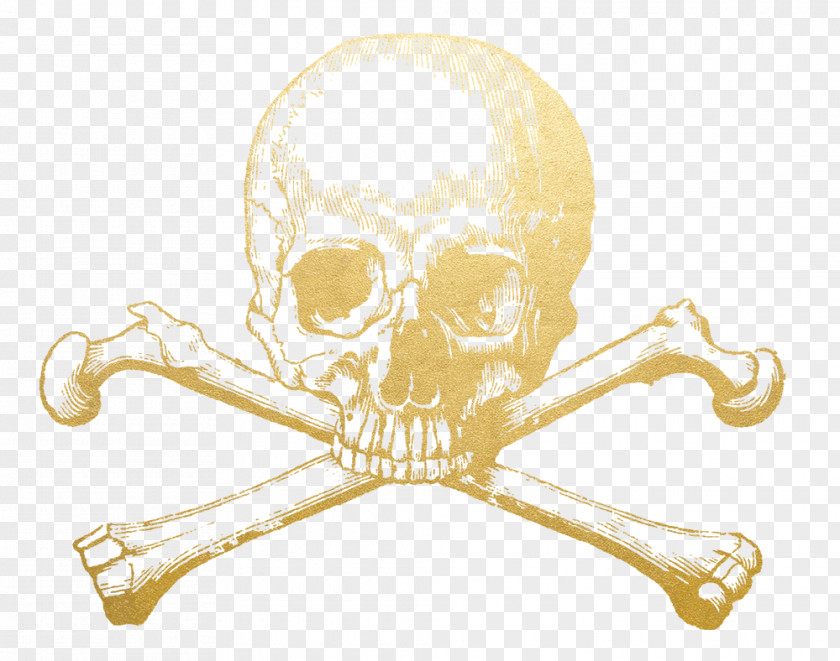 Ice Cream Tattoo Skull And Crossbones Bones Human Skeleton PNG
