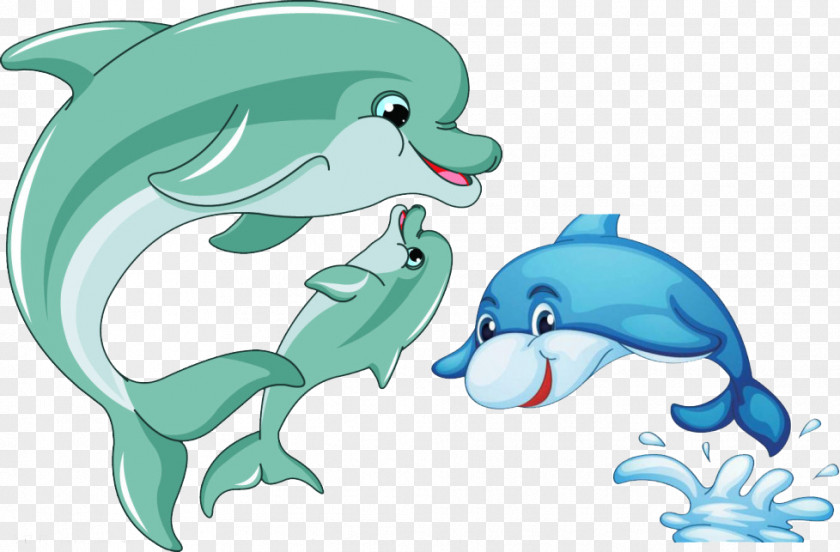 Whale Dolphin Cartoon Clip Art PNG