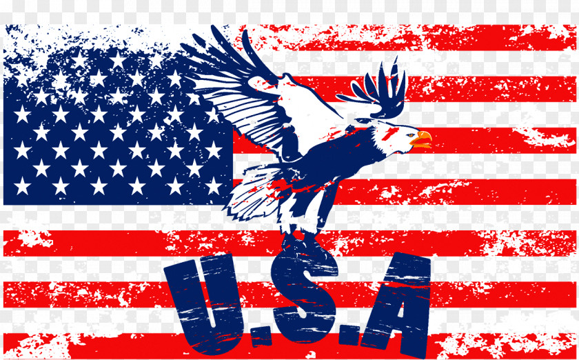American Flag Of The United States Flags North America Wallpaper PNG