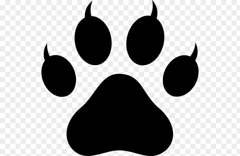 Claw Vector Dog Polydactyl Cat Paw Clip Art PNG
