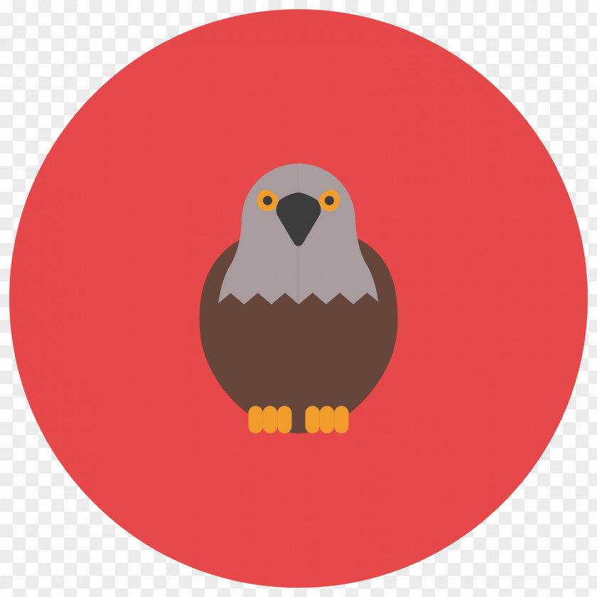 Falconry Icon Wild Boar Illustration Adobe Photoshop PNG