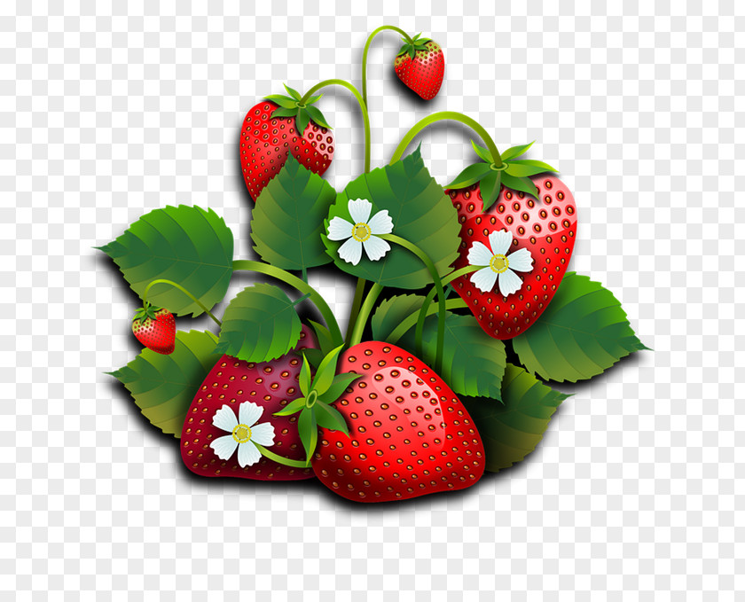 Fresas Strawberry Wedding Invitation Fruit Breakfast PNG