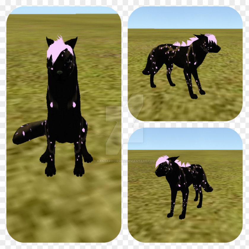 Mustang Stallion Cattle Dog Halter PNG