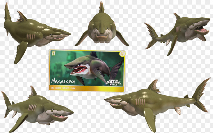 Shark Hungry World Evolution Megalodon Great White PNG