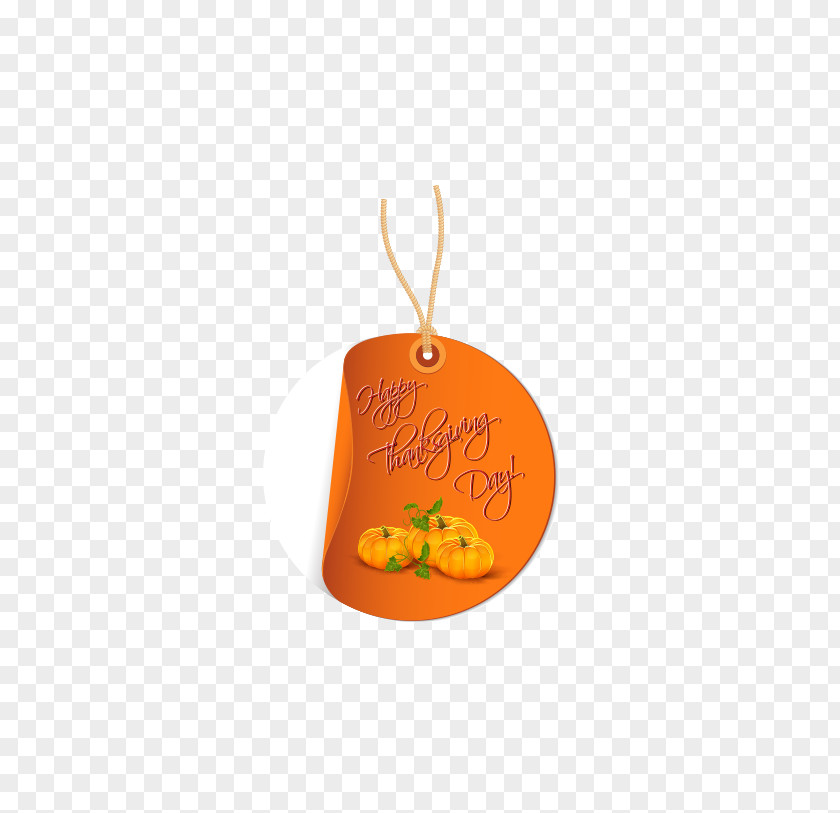 Thanksgiving Ornaments Orange Fruit Font PNG