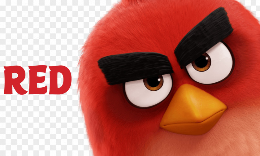 Angry Birds 2 Film Desktop Wallpaper PNG