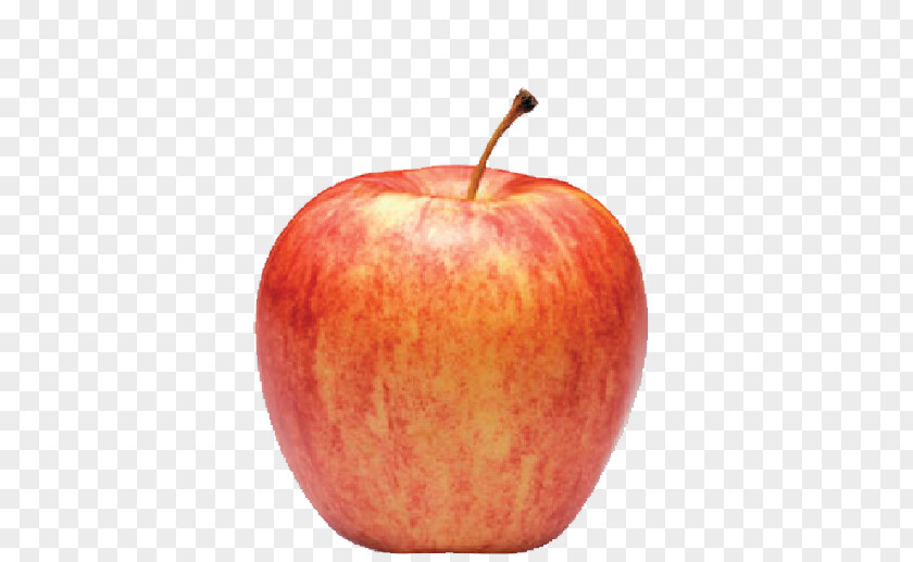 Apple McIntosh Red Pie Gala Fuji PNG