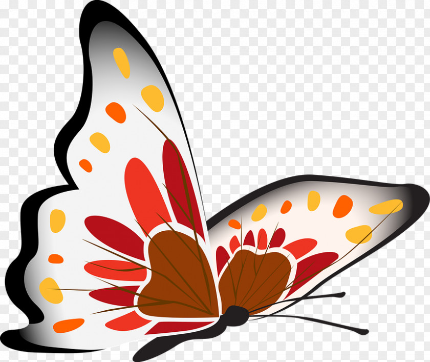 Clipart-butterfly Download Clip Art PNG