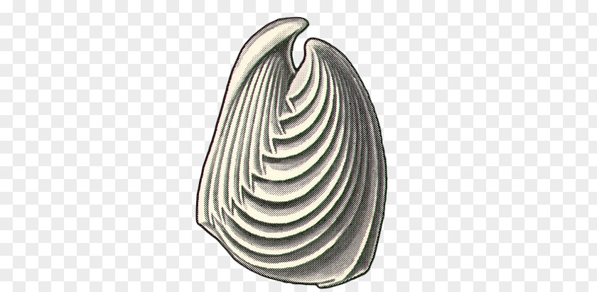 Fish White PNG