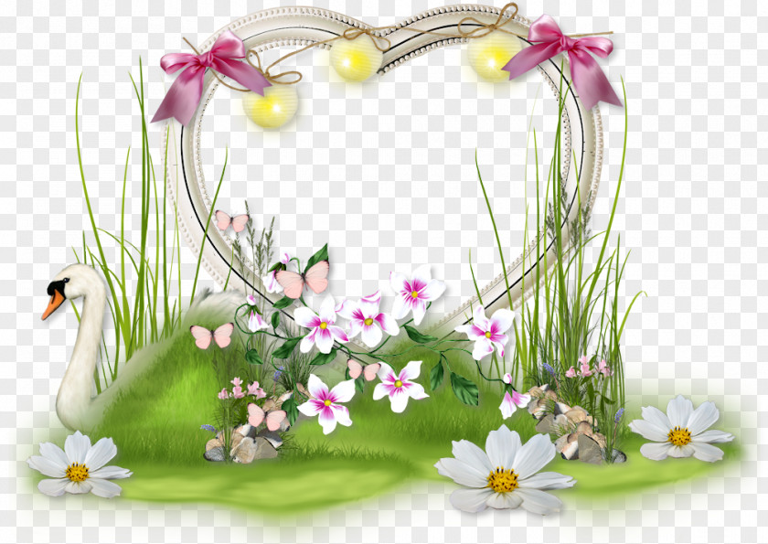 Flower Floral Design Bouquet Desktop Wallpaper Wildflower PNG