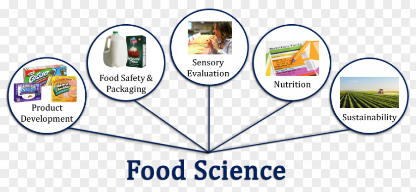 Food Science Technology Scientist PNG